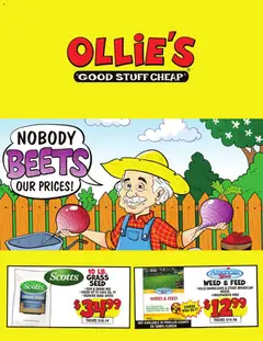 Preview of Ollie's weekly ads valid from 08.04.2026