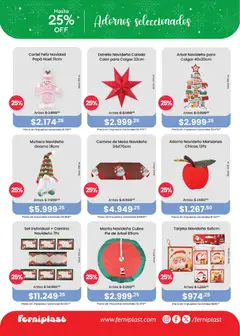 Vista previa Ferniplast catálogo válido desde el 27.11.2025 | Página: 4