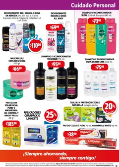 Vista previa de Farmacia Guadalajara catálogo, nuevo folleto de la tienda, válido en México a partir del 15.01.2026 | Página: 11 | Productos: Brillo, Toallas, Acondicionador, Protector solar