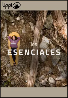 Lippi ofertas  válido desde el 16.12.2025