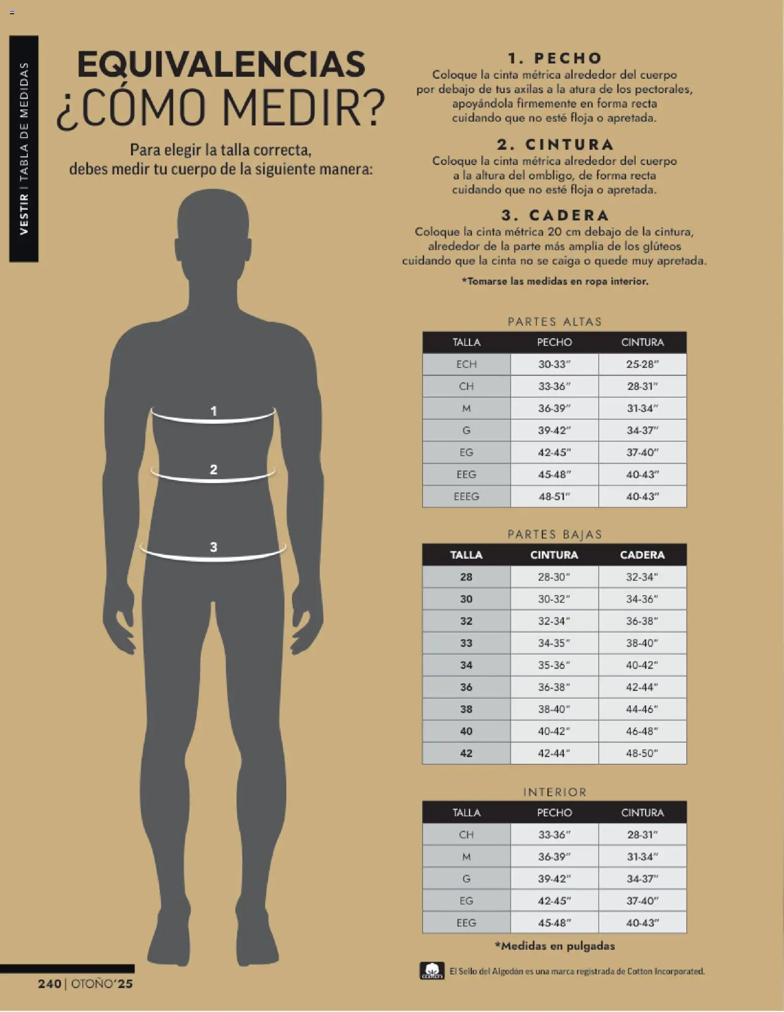 Nuevas ofertas de Andrea válidas en toda la República Mexicana desde el 26.11.2025. ¡Encuentra las mejores ofertas en Andrea catálogo Vestir Caballero otoño! | Página: 78 | Productos: Algodón, Cinta, Ropa, Cinta métrica