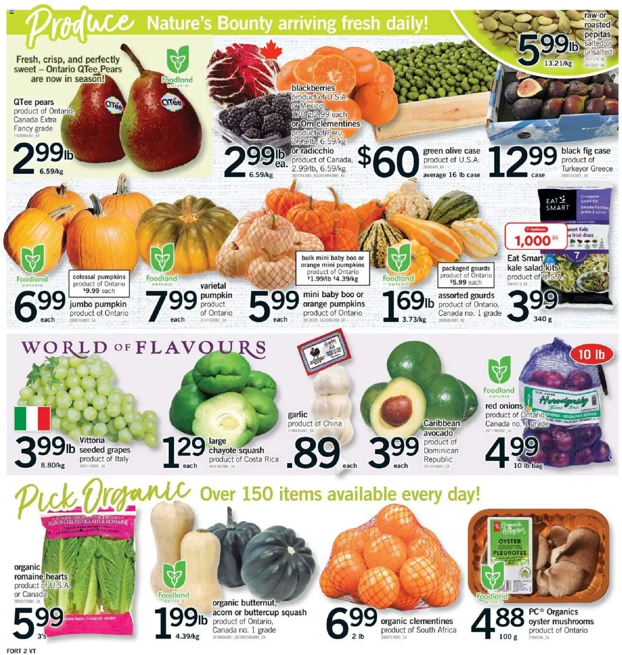 Fortinos flyer valid from 11.09.2025 | Page: 11 | Products: Salad, Case, Bag, Pumpkin