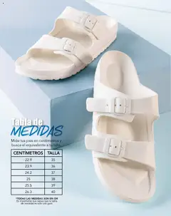Pacifika revista - valida desde el 20.05.2025 | Página: 12 | Productos: Algodón, Camiseta, Chaleco
