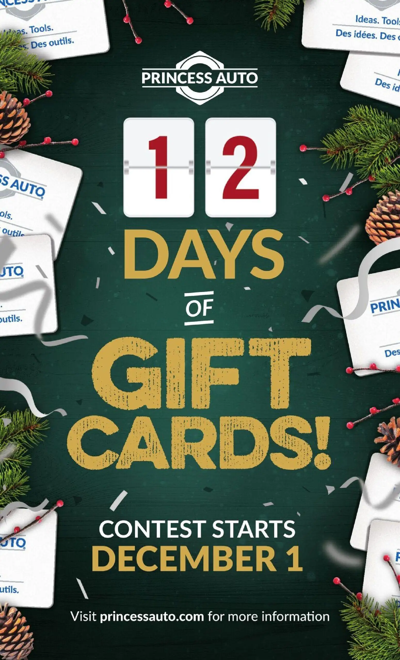 Princess Auto flyer valid from 18.11.2025 | Page: 119