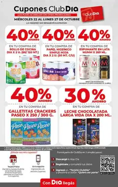 Vista previa Supermercado DIA Ofertas válido desde el 22.10.2025 | Página: 6