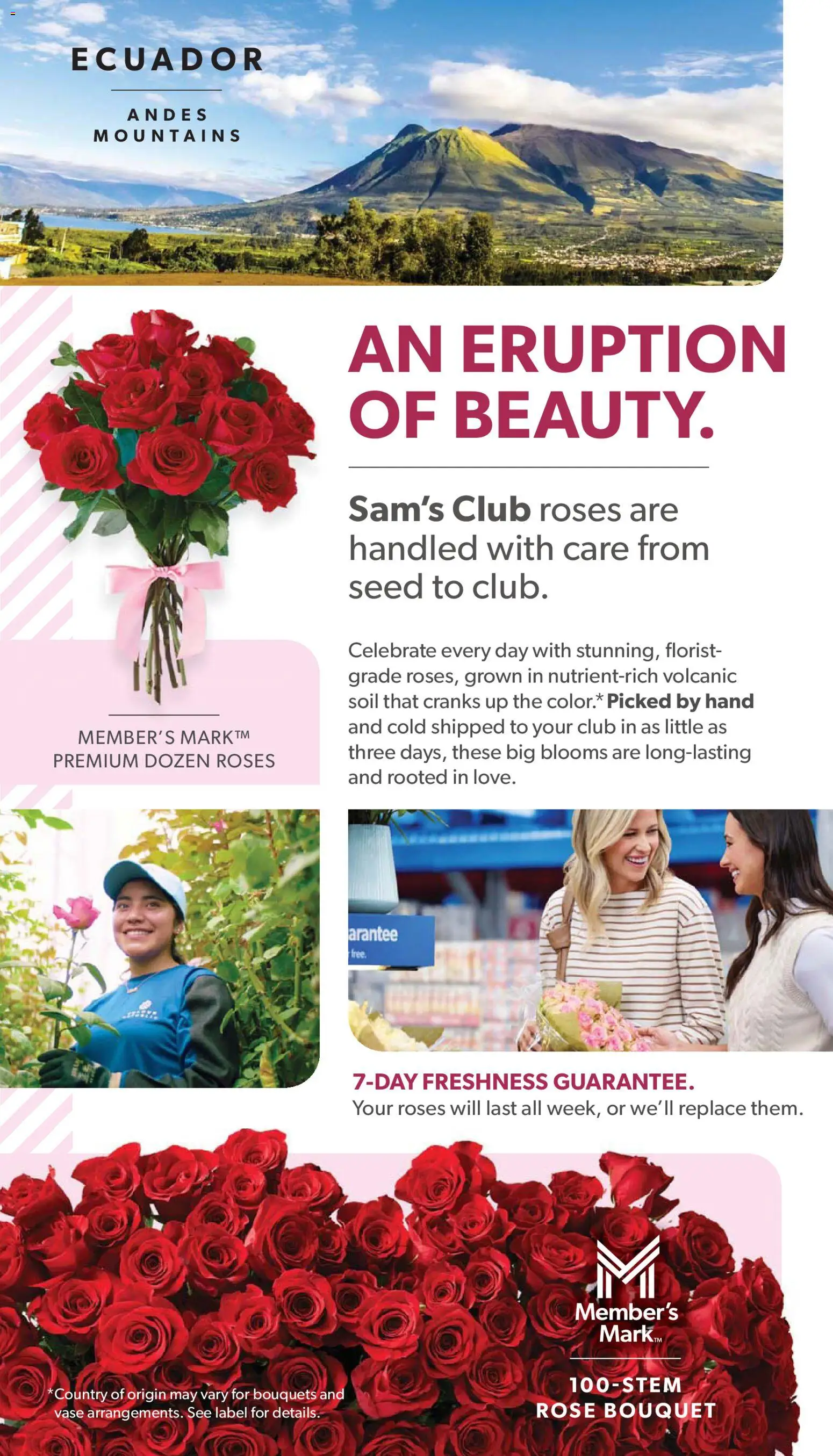 Sam's Club Instant Savings Book February - valid from 28.01.2026 | Page: 29