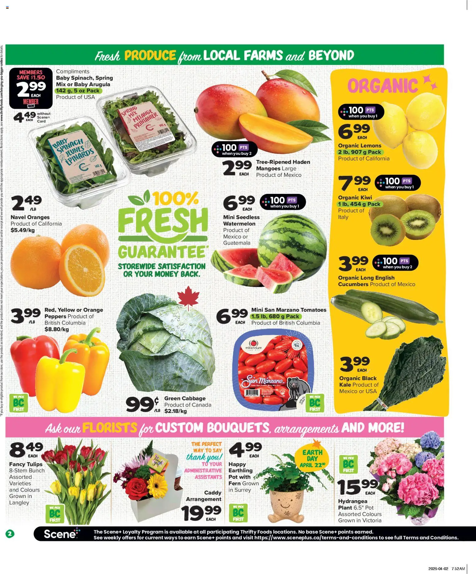 Thrifty Foods flyer valid from 16.04.2026 | Page: 3 | Products: Kiwi, Cucumbers, Oranges, Tomatoes