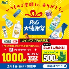 07.01.2026から有効なオファーを含む カインズ ホーム - P&G大感謝祭