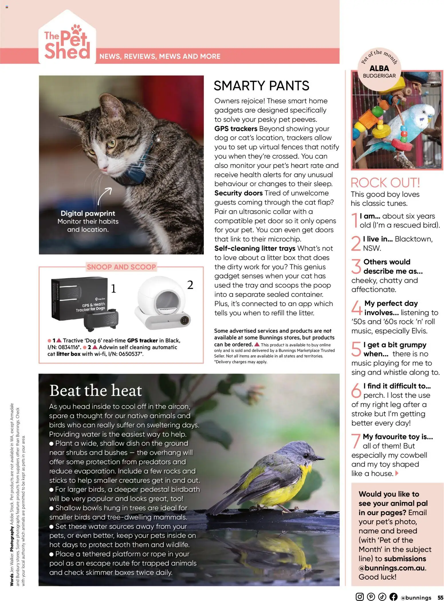 Bunnings Warehouse catalogue - valid from 01.02.2026 | Page: 55 | Products: Native, Water, Digital, Monitor