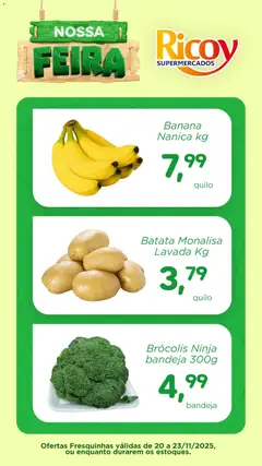 Ricoy - Ofertas Feira - Pré-Visualização do folheto da loja Ricoy, válido de 20.11.2025