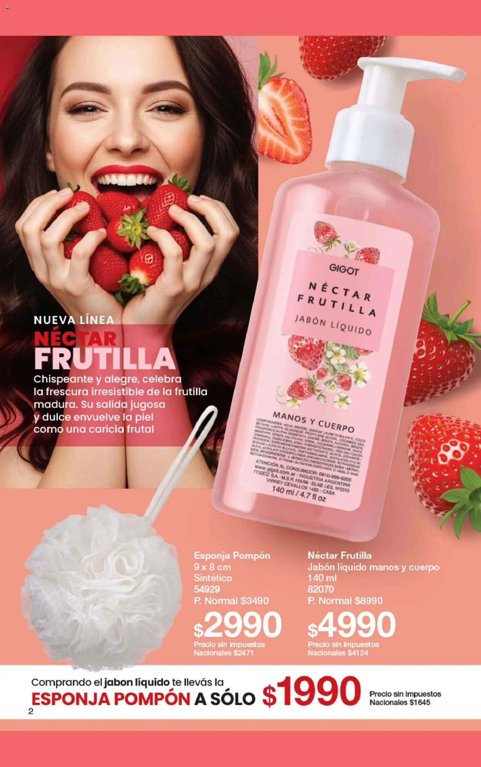 Gigot - CAMPAÑA 01 │ válido desde el 01.01.2026 | Página: 8 | Productos: Frutilla, Jabón líquido, Esponja, Té