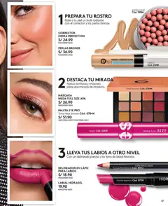 Vista previa de folleto Ésika - Campaña 1 de la Ésika válido desde 18.12.2025 | Página: 37 | Productos: Máscara, Delineador, Corrector