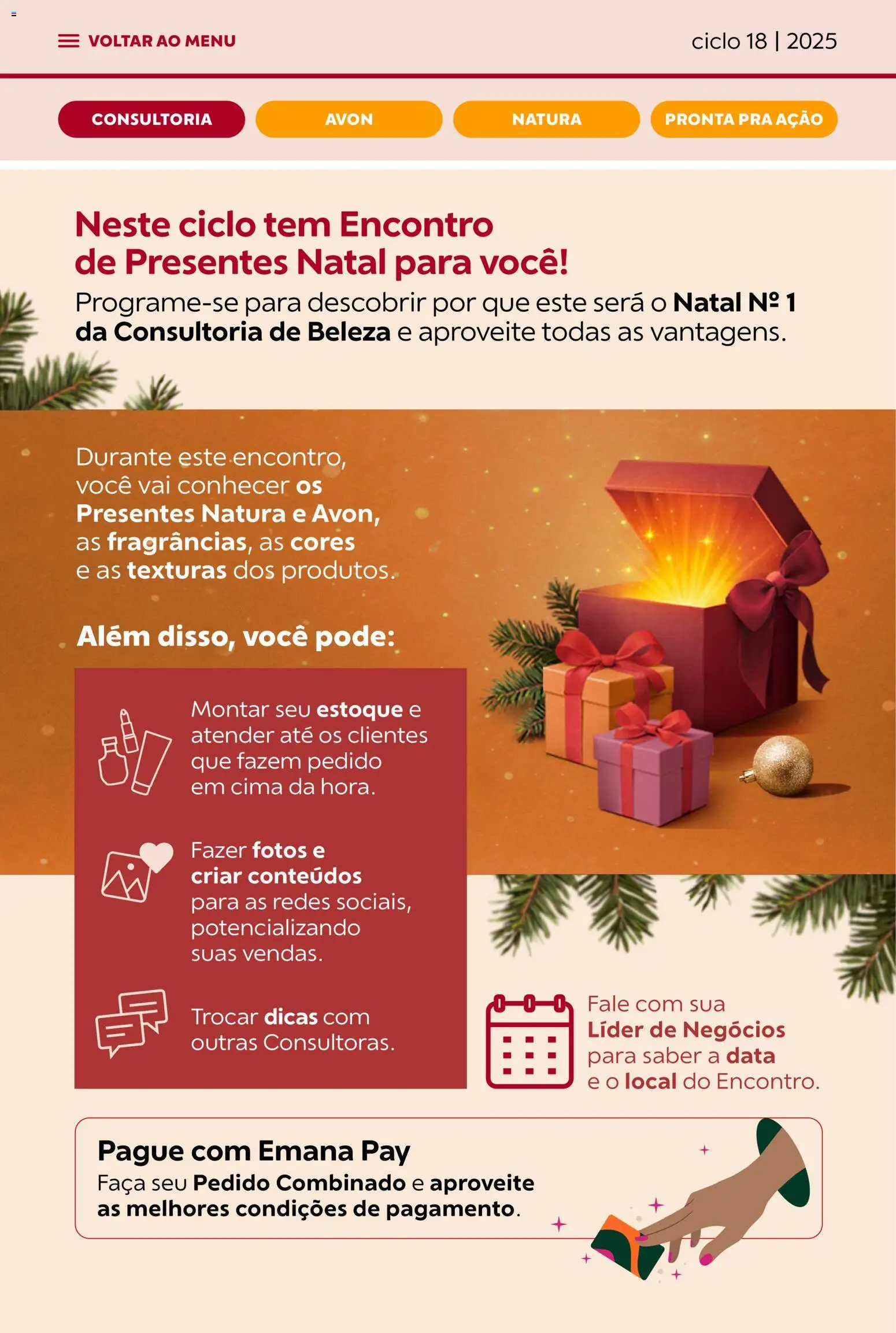 Avon Folheto - válido de 29.10.2025 | Página: 4 | Produtos: Faca