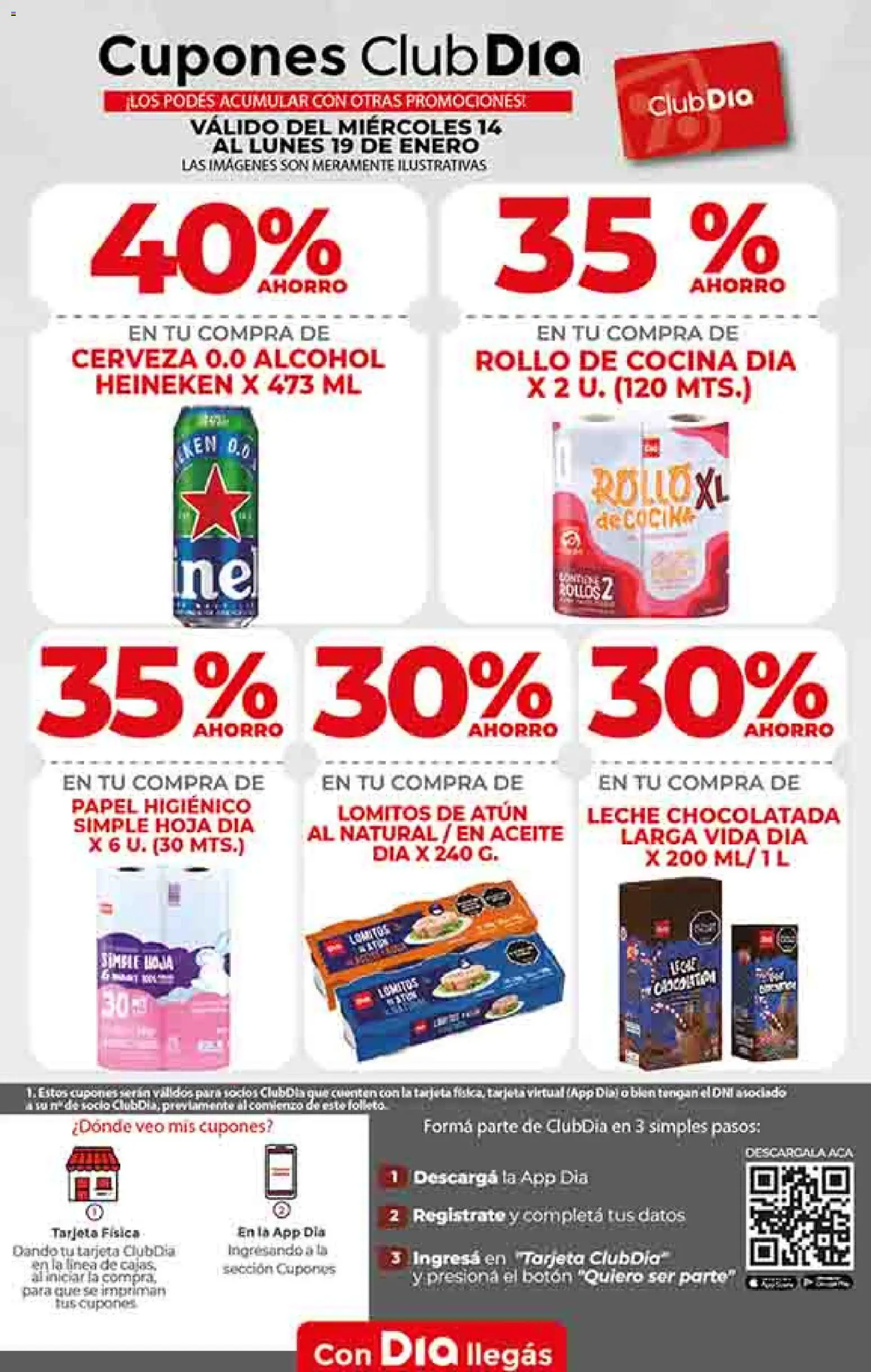 Dia - Ofertas - Salta y Jujuy │ válido desde el 14.01.2026 | Página: 22 | Productos: Papel higiénico, Cocina, Aceite, Chocolatada