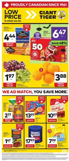Preview of Giant Tiger Weekly Flyer from shop Giant Tiger valid from 15.10.2025