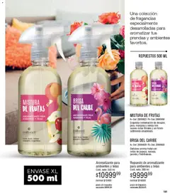 Vista previa Millanel - Catálogo válido desde el 05.01.2026 | Página: 181 | Productos: Manzana