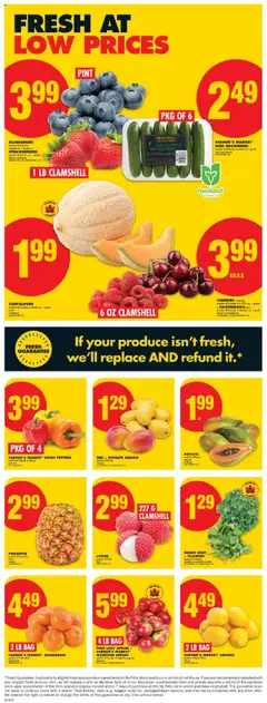 No Frills flyer valid from 31.07.2025 | Page: 3