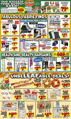 Preview of Ollie's weekly ads valid from 28.07.2025
