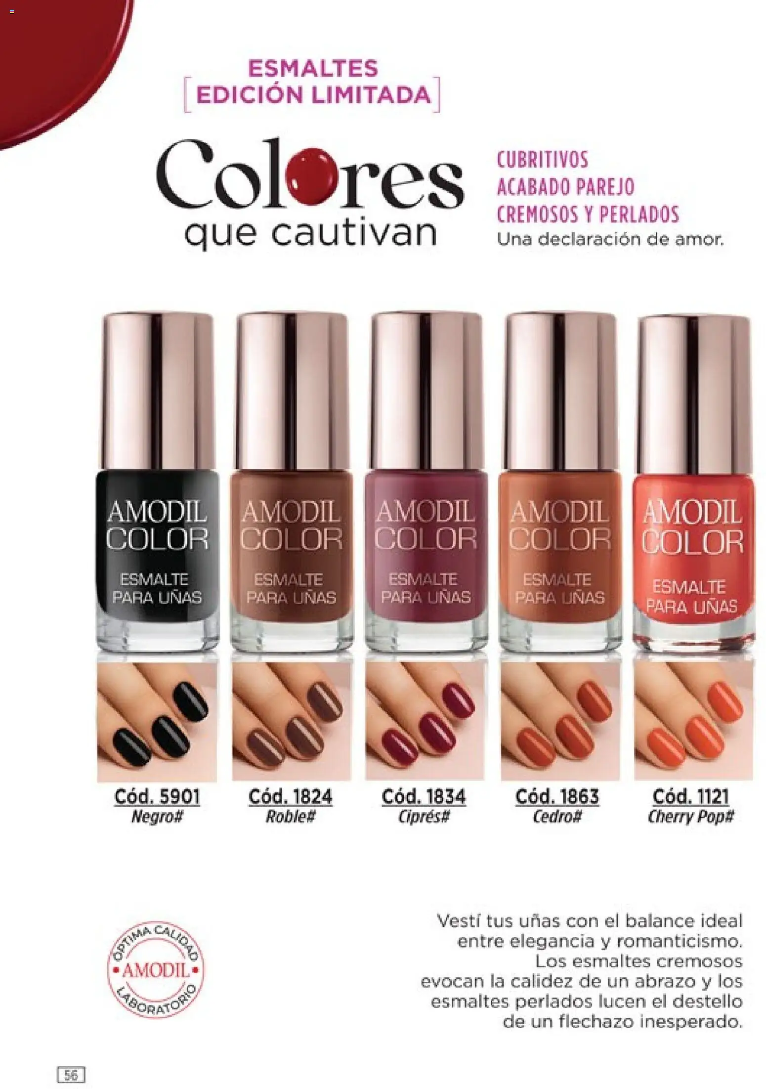 Catálogo Amodil Campaña 2 │ válido desde el 01.02.2026 | Página: 56