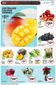 Preview of IGA Catalogue WA - valid from 17.12.2025 | Page: 10 | Products: Lettuce, Potatoes, Pumpkin, Grapes