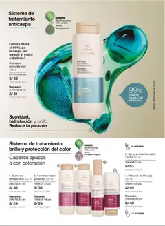 Vista previa de folleto Natura - Ciclo 16 de la Natura válido desde 12.10.2025 | Página: 132