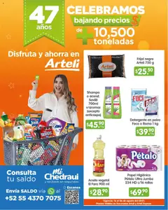 Vista previa de Arteli - Folleto de aniversario , nuevo folleto de la tienda, válido en México a partir del 16.07.2025
