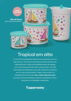 Tupperware Folheto - válido de 01.09.2025 | Página: 2 | Produtos: Mesa, Flores, Bolsa