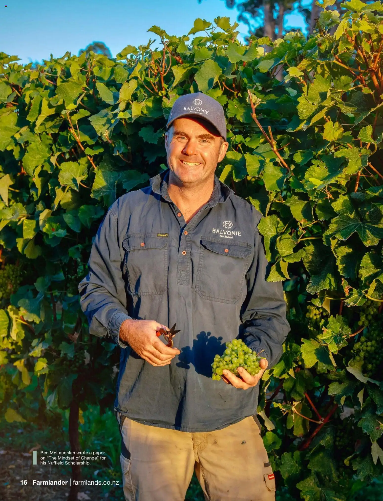 Farmlands catalogue from 01.12.2025 | Page: 18