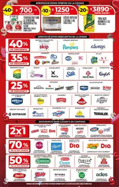 Vista previa Dia - Ofertas - Salta y Jujuy válido desde el 11.03.2026 | Página: 2