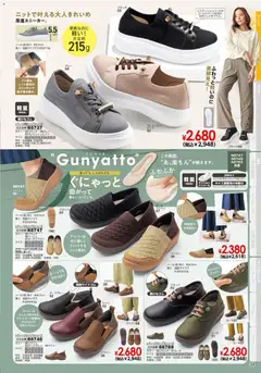 13.02.2026から有効なオファーを含む ヒラキ - チラシ | ページ: 35