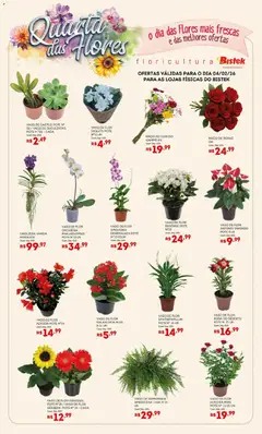 Bistek Supermercados - Ofertas Quarta das Flores - Pré-Visualização do folheto da loja Bistek Supermercados, válido de 04.02.2026