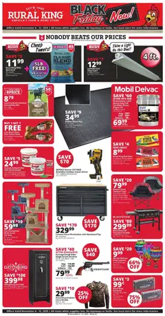 Preview of Rural King weekly ads valid from 06.11.2025