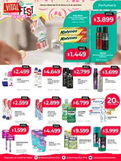 Vista previa Vital - Ofertas válido desde el 30.03.2026 | Página: 4 | Productos: Desodorante, Antitranspirante, Crema
