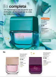 Vista previa de folleto Natura - Ciclo 17 de la Natura válido desde 03.10.2025 | Página: 62