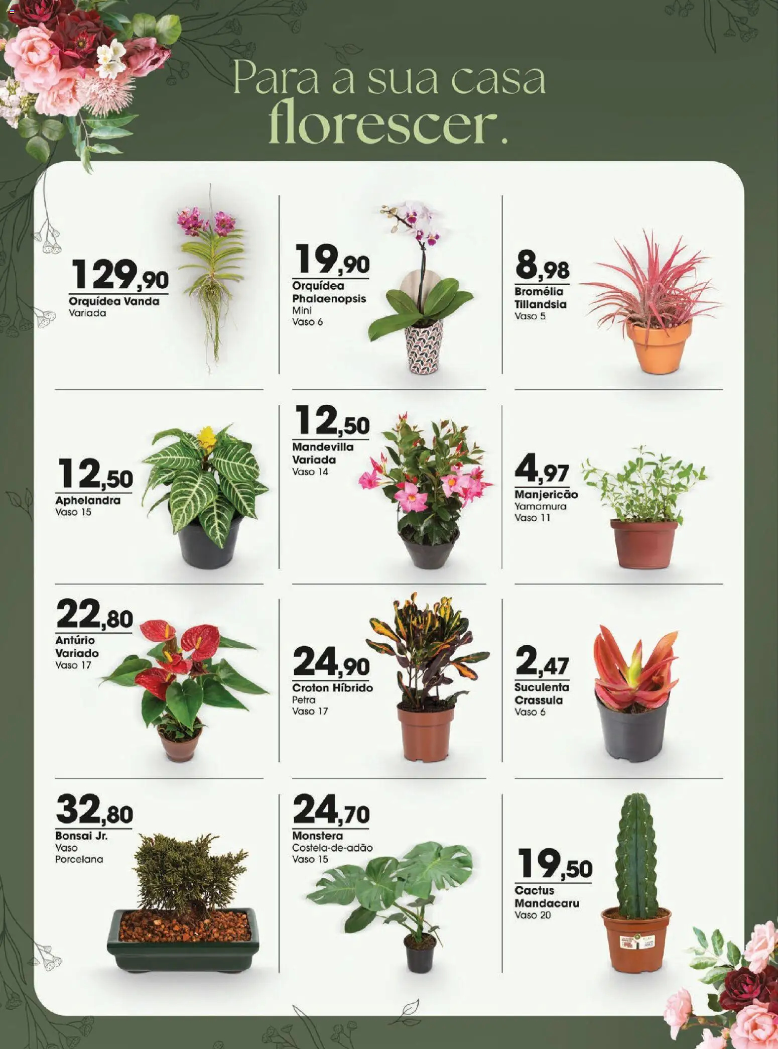 Zaffari Folheto - válido de 05.03.2026 | Página: 10 | Produtos: Manjericão, Vaso