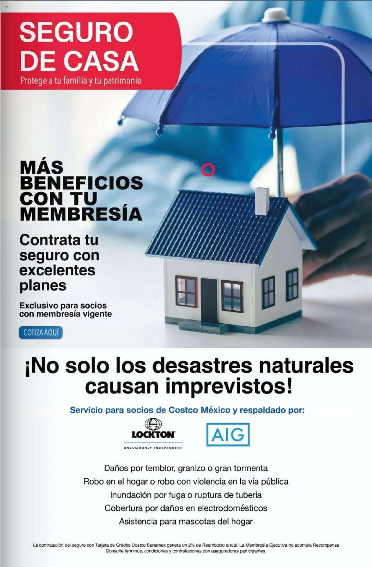 Nuevas ofertas de Costco válidas en toda la República Mexicana desde el 03.10.2025. ¡Encuentra las mejores ofertas en Costco - Revista Octubre! | Página: 51