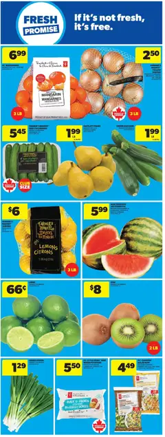 Preview of Real Canadian Superstore flyer - MB from shop Real Canadian Superstore valid from 22.01.2026 | Page: 16 | Products: Kiwi, Cucumbers, Salad, PC