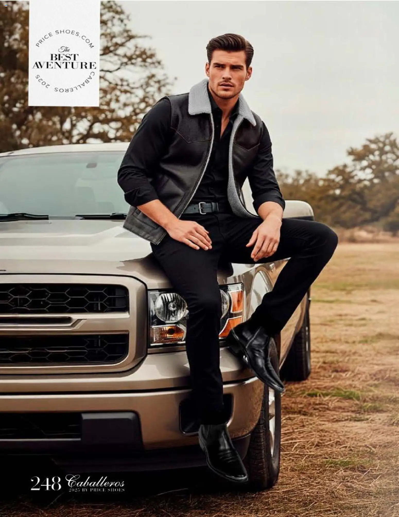 Nuevas ofertas de Price Shoes válidas en toda la República Mexicana desde el 26.11.2025. ¡Encuentra las mejores ofertas en Price Shoes catálogo Caballeros! | Página: 248