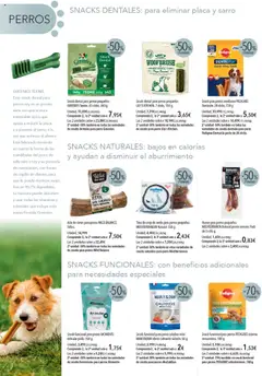 Nuevas ofertas de El Corte Inglés válidas en toda la República Mexicana desde el 01.08.2025. ¡Encuentra las mejores ofertas en El Corte Inglés - Catálogo Mascotas Agosto! | Página: 8 | Productos: Cepillo de dientes, Cepillo, Jamón, Vitaminas