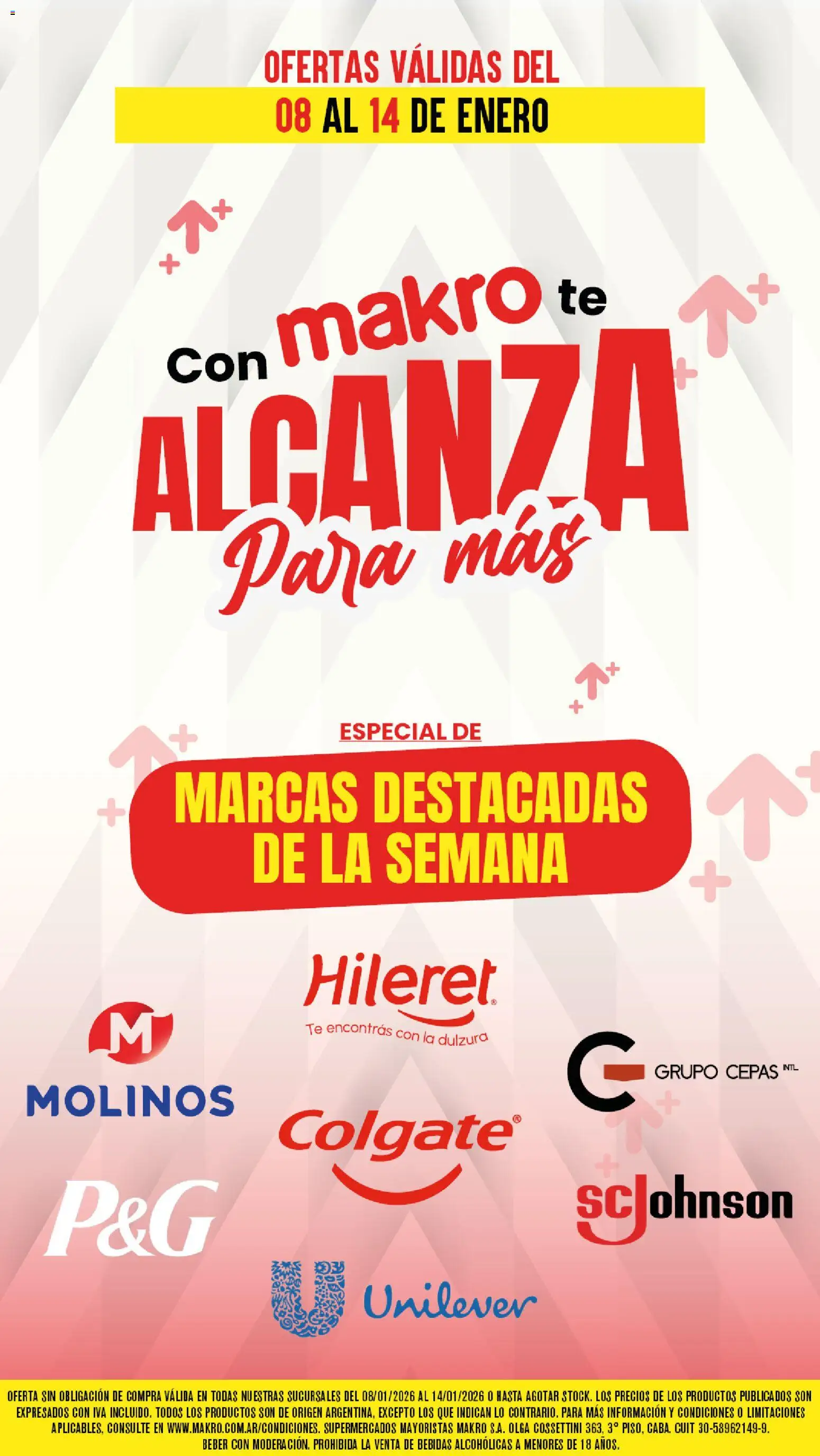 Makro ofertas │ válido desde el 08.01.2026 | Página: 1 | Productos: Té