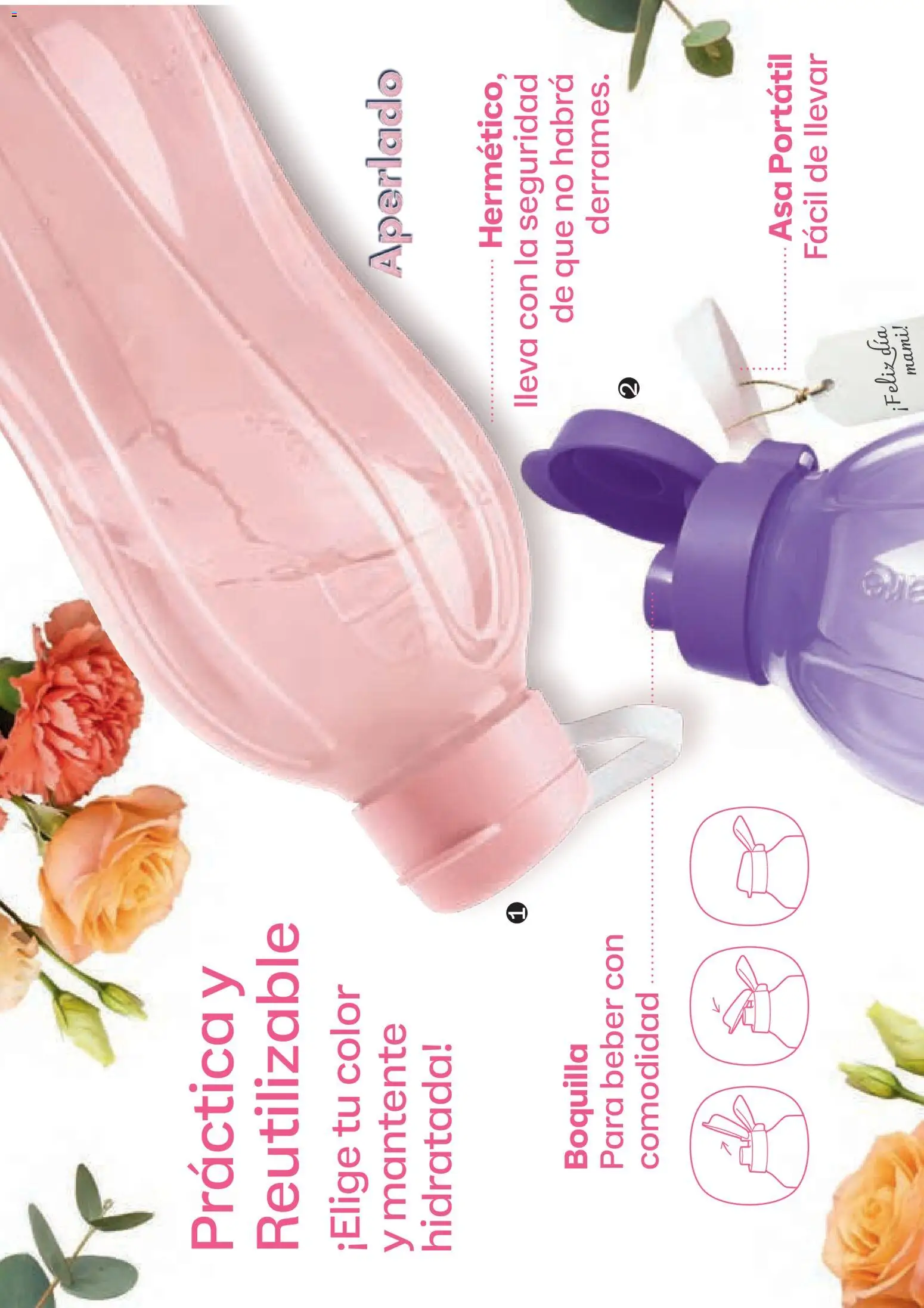 Nuevas ofertas de Tupperware válidas en toda la República Mexicana desde el 23.03.2026. ¡Encuentra las mejores ofertas en Tupperware catálogo! | Página: 12