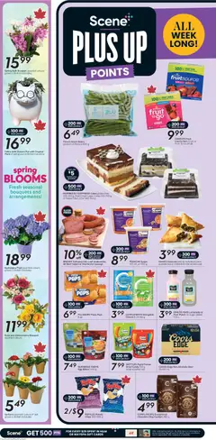 Preview of Safeway weekly flyer / circulaire from shop Safeway valid from 23.04.2026 | Page: 5 | Products: Beef, Cream, Cheese, Pizza
