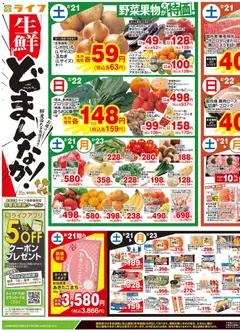 21.02.2026から有効なオファーを含む ライフ - チラシ