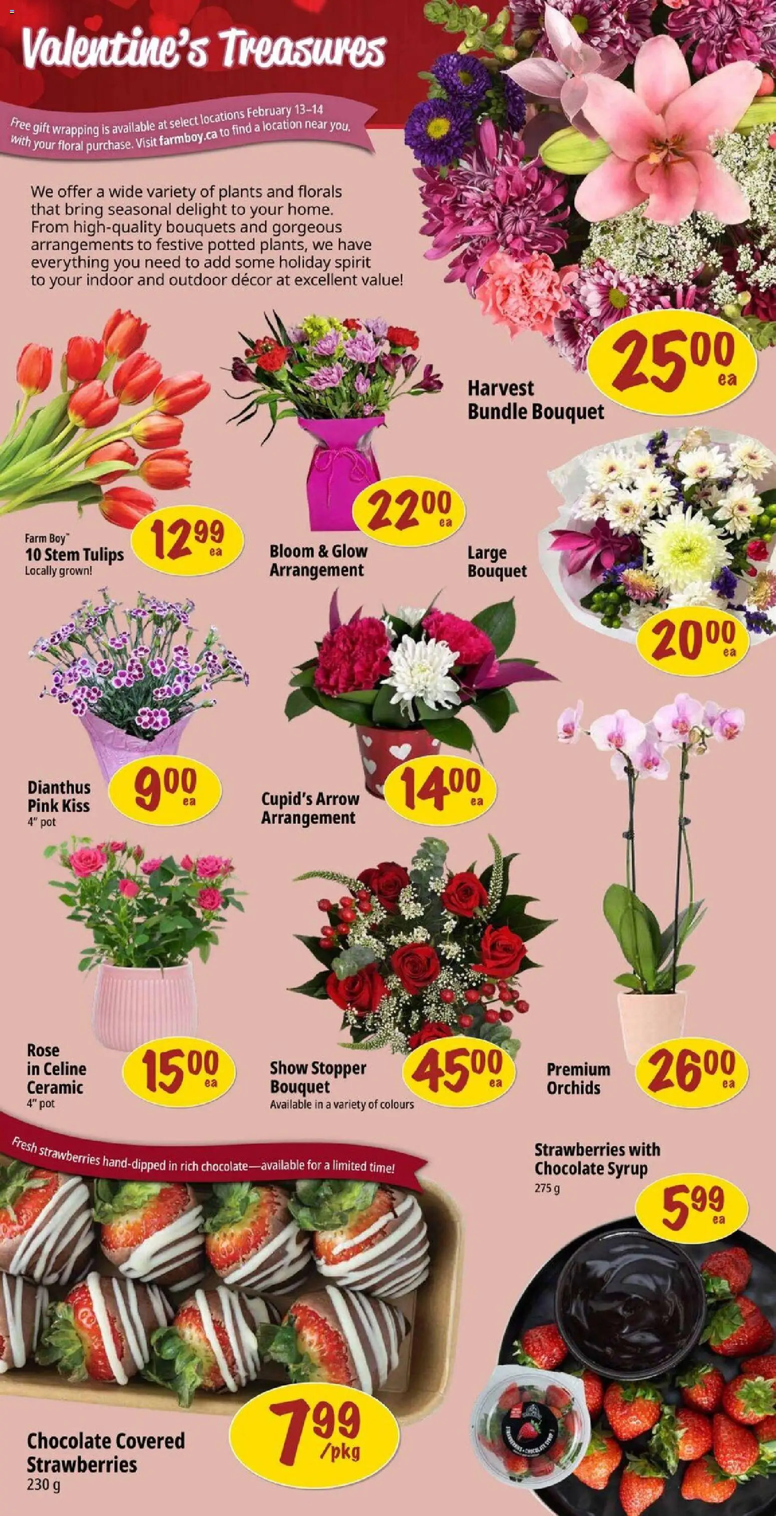 Farm Boy flyer valid from 12.02.2026 | Page: 5 | Products: Strawberries, Chocolate