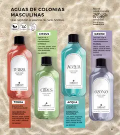 Vista previa Millanel - Catálogo válido desde el 10.11.2025 | Página: 63 | Productos: Lima, Agua