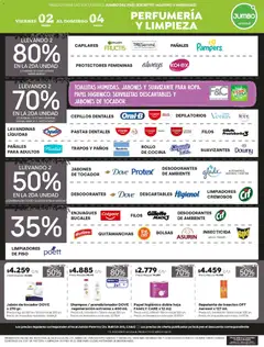 Vista previa Jumbo ofertas válido desde el 02.01.2026 | Página: 6 | Productos: Papel higiénico, Insecticida, Servilletas, Pañales