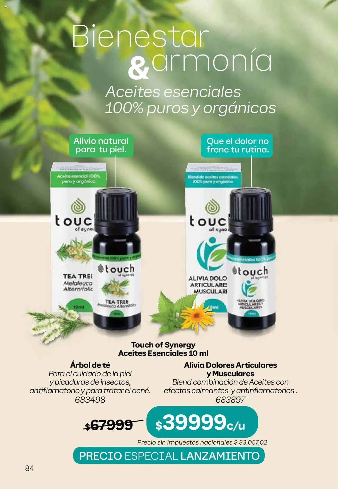 Tupperware Folleto │ válido desde el 08.09.2025 | Página: 85 | Productos: Aceite, Té