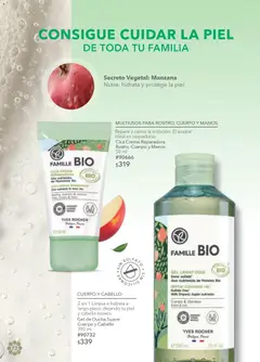 Vista previa de Yves Rocher campaña 16 2025, nuevo folleto de la tienda, válido en México a partir del 19.11.2025 | Página: 74 | Productos: Crema, Manzana, Gel de ducha