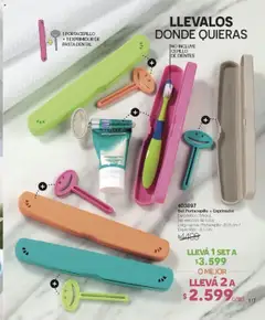 Violetta catálogo │ válido desde el 18.07.2025 | Página: 117