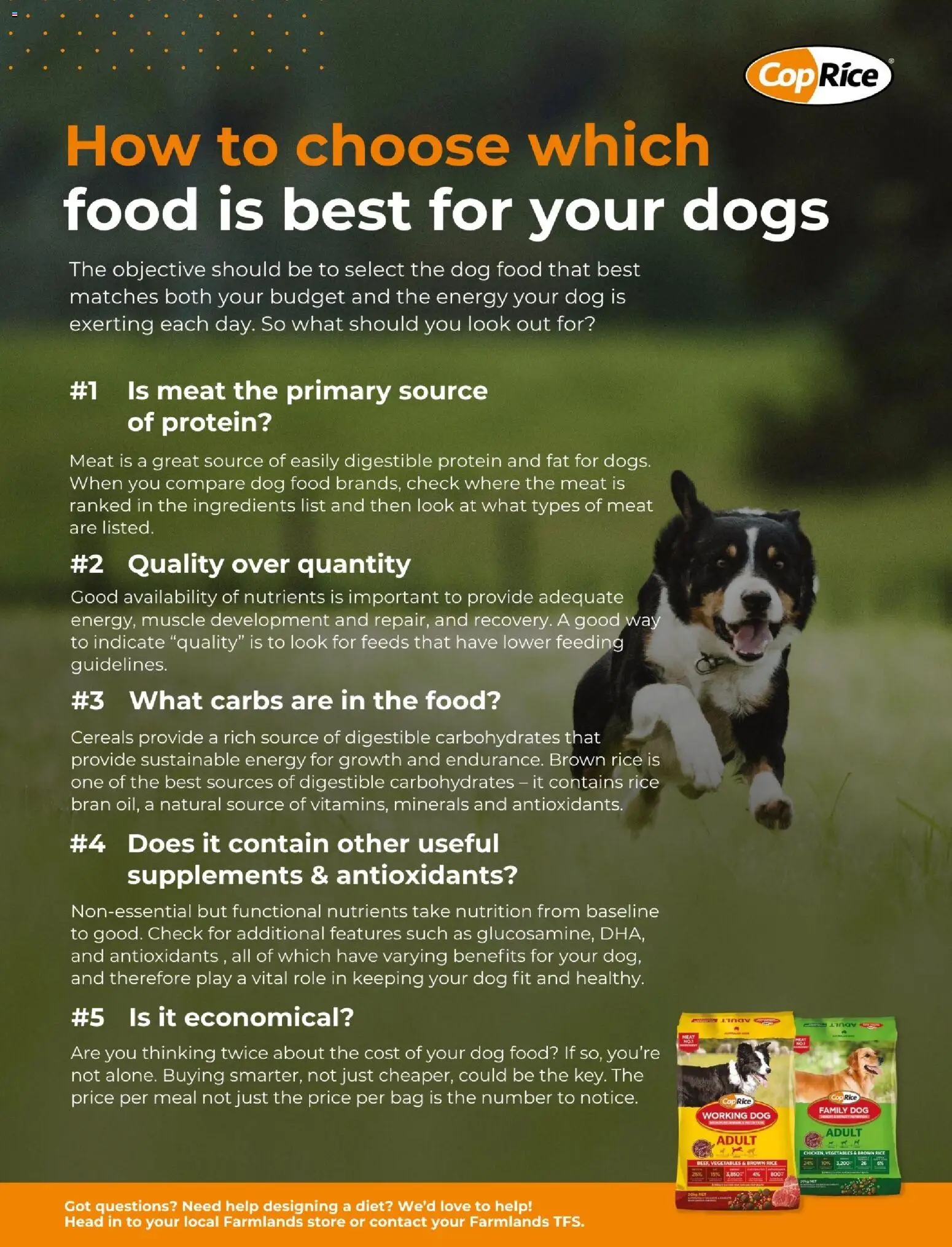 Farmlands catalogue from 01.12.2025 | Page: 75